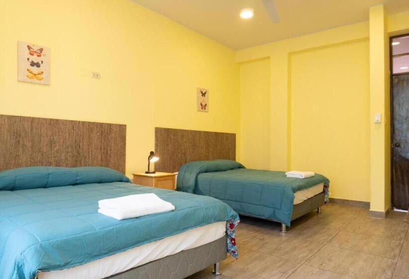 اتاق استاندارد با سرویس بهداشتی مشترک, Desert Nights Hostel