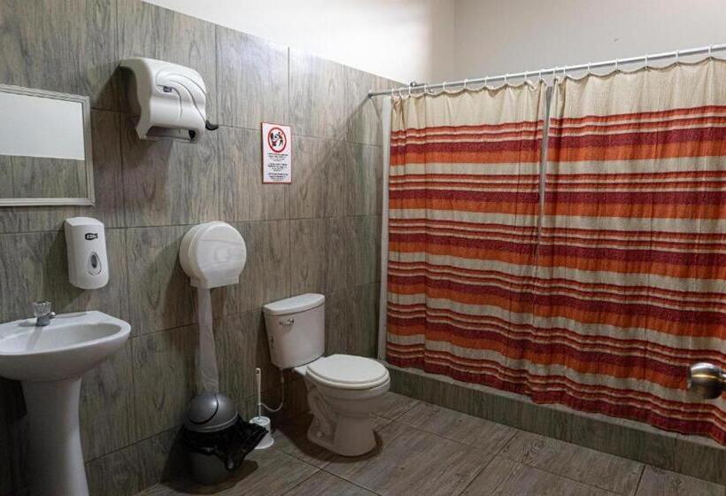 اتاق استاندارد, Desert Nights Hostel