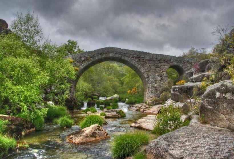 标准间, Miracastro