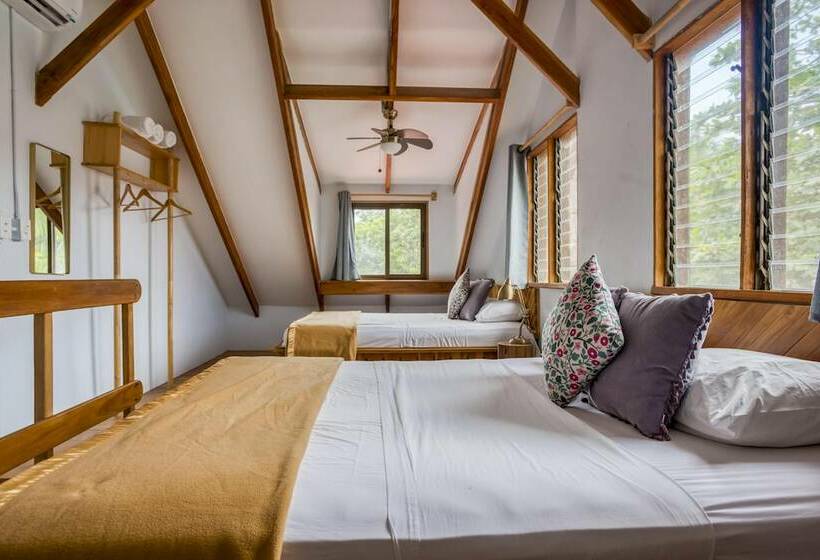 家庭间, Selina Santa Teresa North   Hostel