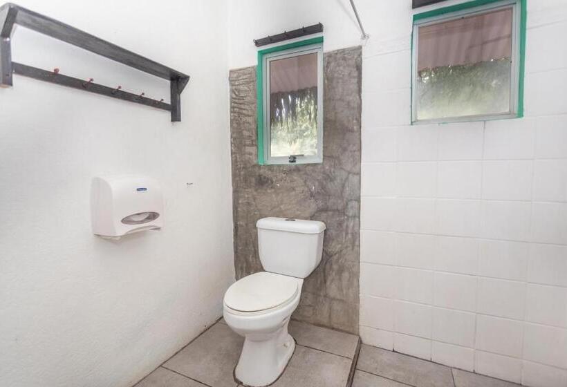 基本房间共用浴室, Selina Santa Teresa North   Hostel