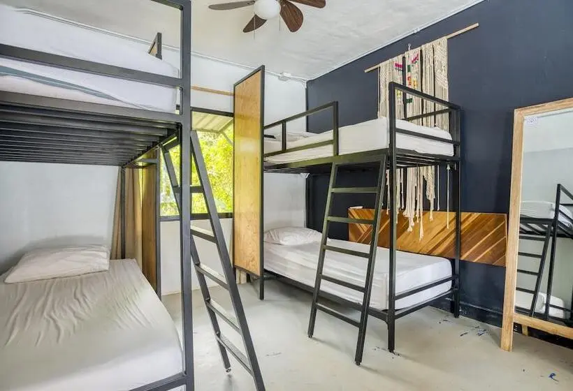 اتاق استاندارد, Selina Santa Teresa North   Hostel