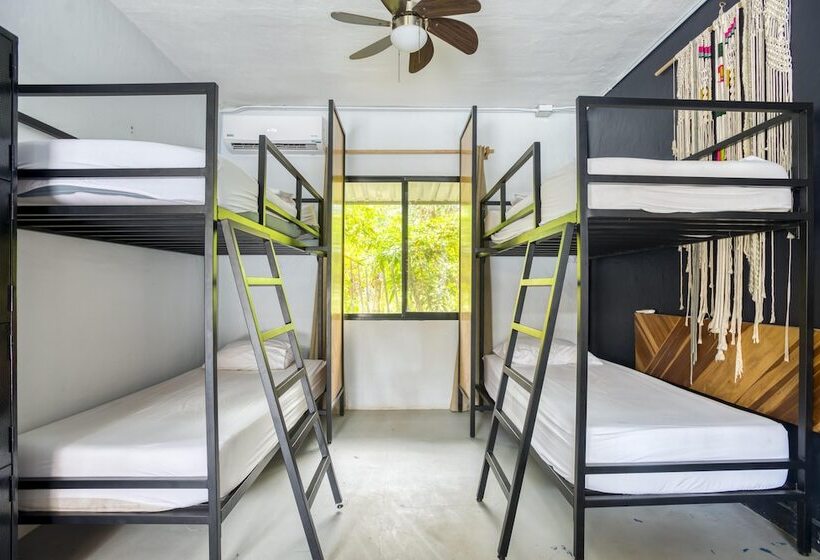 스탠다드 룸, Selina Santa Teresa North   Hostel