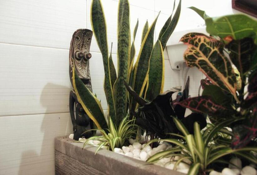 سرير فى غرفة مشتركه, Nuka Beach Inn