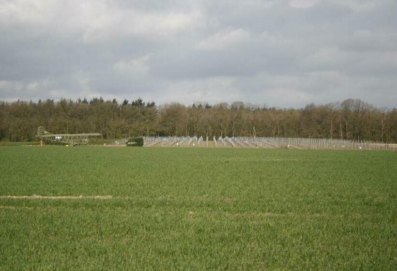 Quarto Deluxe, Klein Amerika