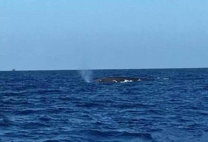 デラックスファミリールーム, Gg Lodge Mirissa