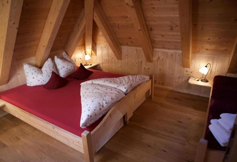 اتاق استاندارد با سرویس بهداشتی مشترک, Schneekarhütte