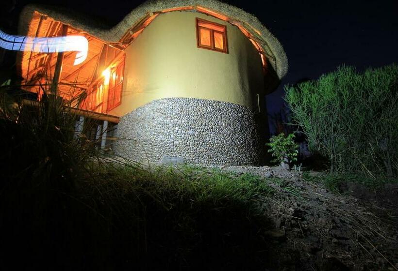 اتاق خانوادگی, Wild Tracks Overland Camp