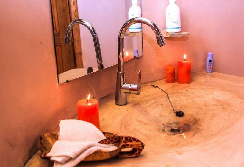 اتاق خانوادگی, Wild Tracks Overland Camp