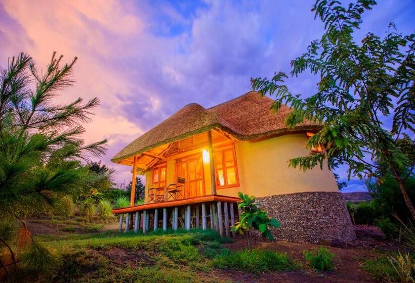 اتاق خانوادگی, Wild Tracks Overland Camp