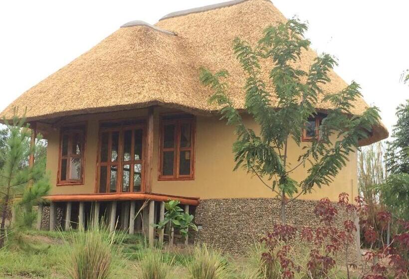 اتاق خانوادگی, Wild Tracks Overland Camp