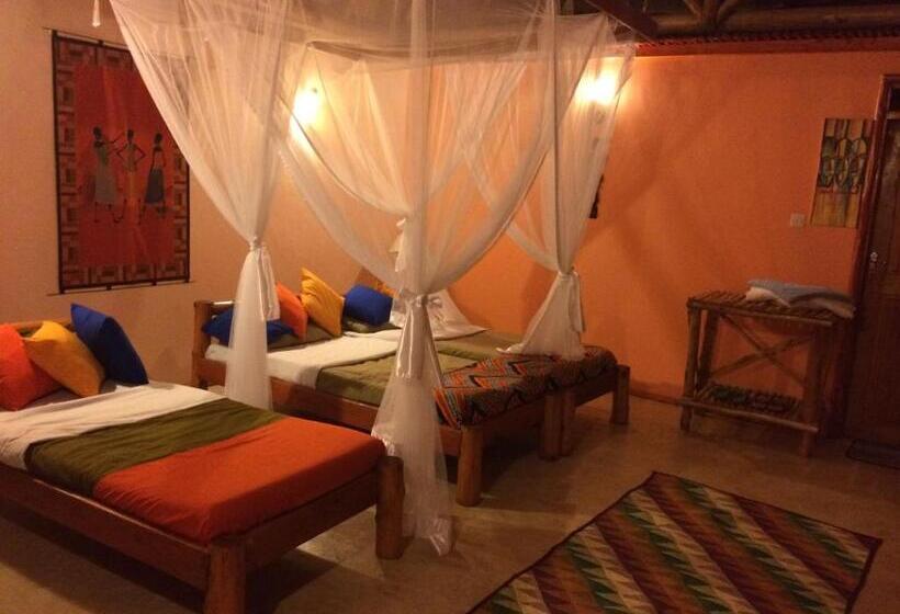 اتاق خانوادگی, Wild Tracks Overland Camp