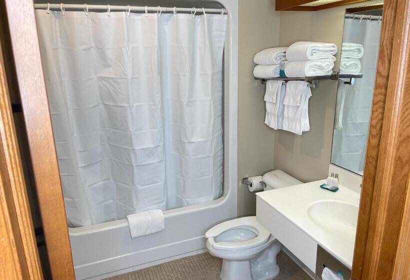 غرفة قياسية سرير كينج, Farmstead Inn And Conference Center