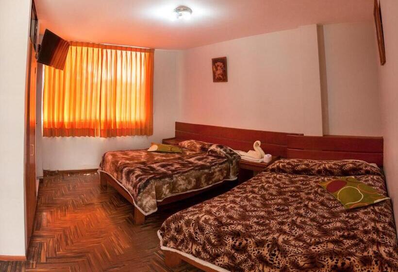 スタンダードルーム, Olimpica