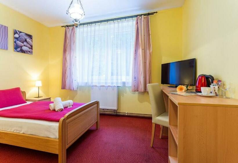 스탠다드 싱글 룸, &wellness Knížecí Rybník