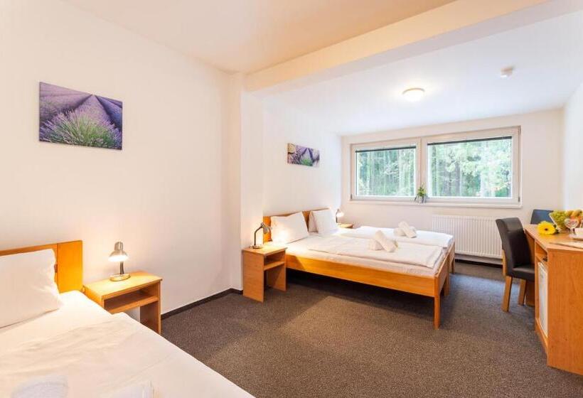 اتاق استاندارد سه نفره, &wellness Knížecí Rybník