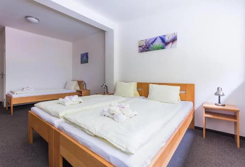 Standard Kolmen Hengen Huone, &wellness Knížecí Rybník
