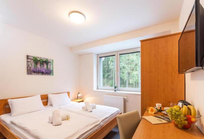 스탠다드 룸, &wellness Knížecí Rybník