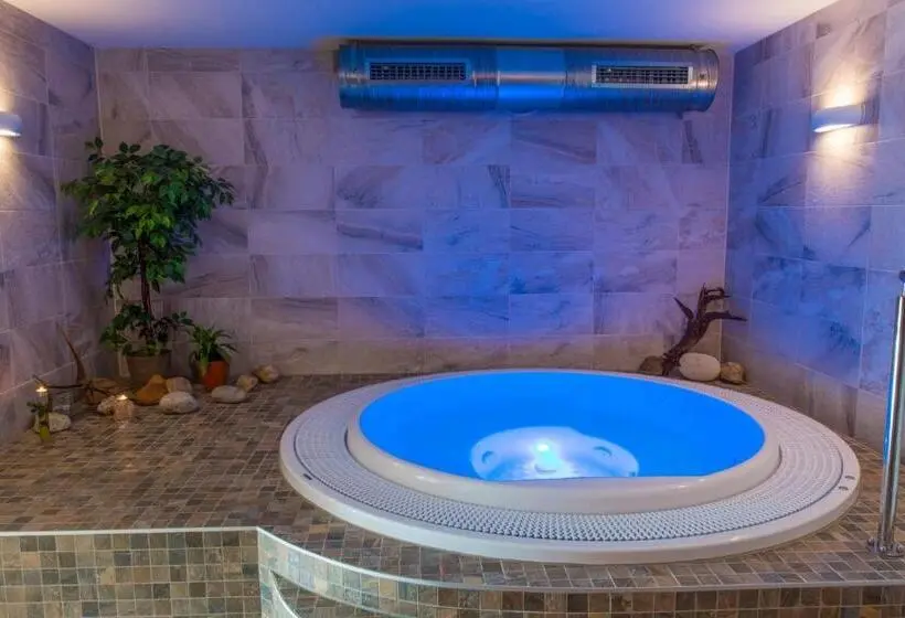 Standard-huone, &wellness Knížecí Rybník