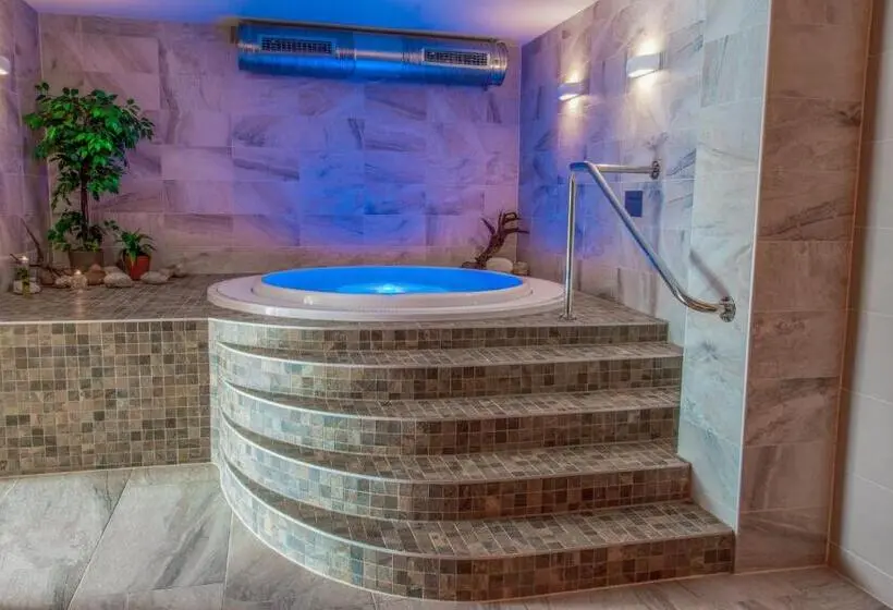 Standard-huone, &wellness Knížecí Rybník