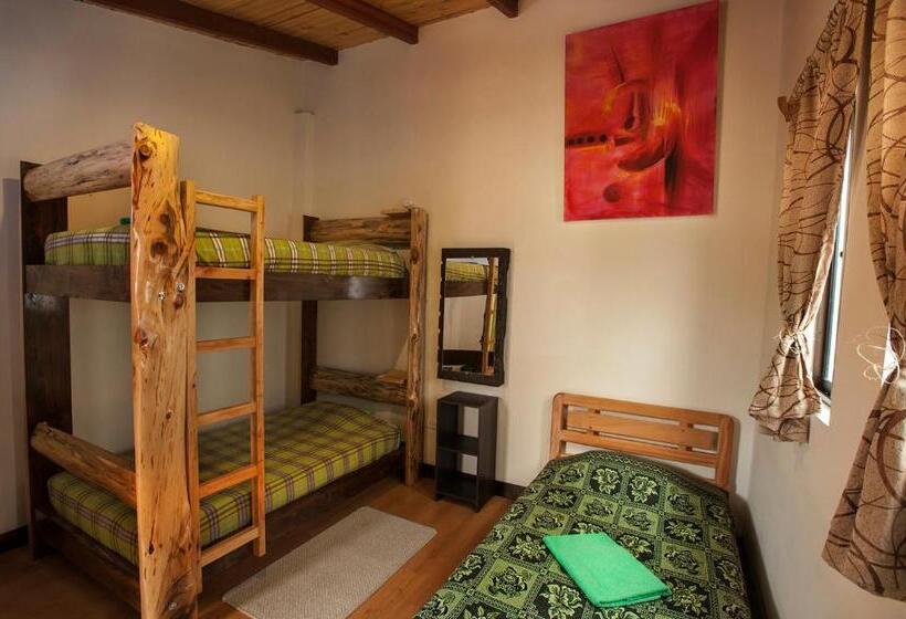 تختخواب در اتاق مشترک, Casa Hospedaje La Bohemia