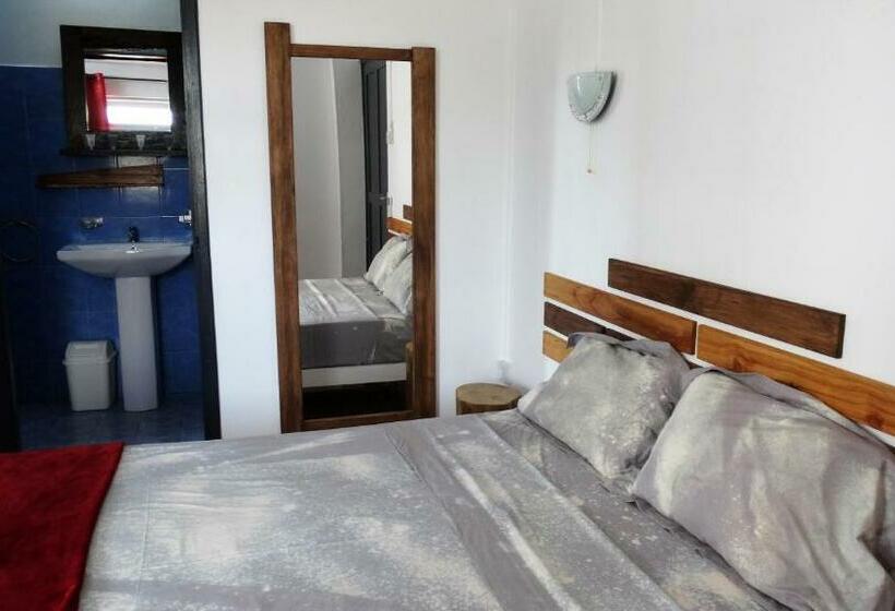 Standard Room, Le Pôle