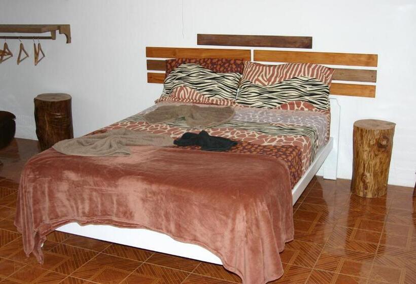 Standard Room, Le Pôle