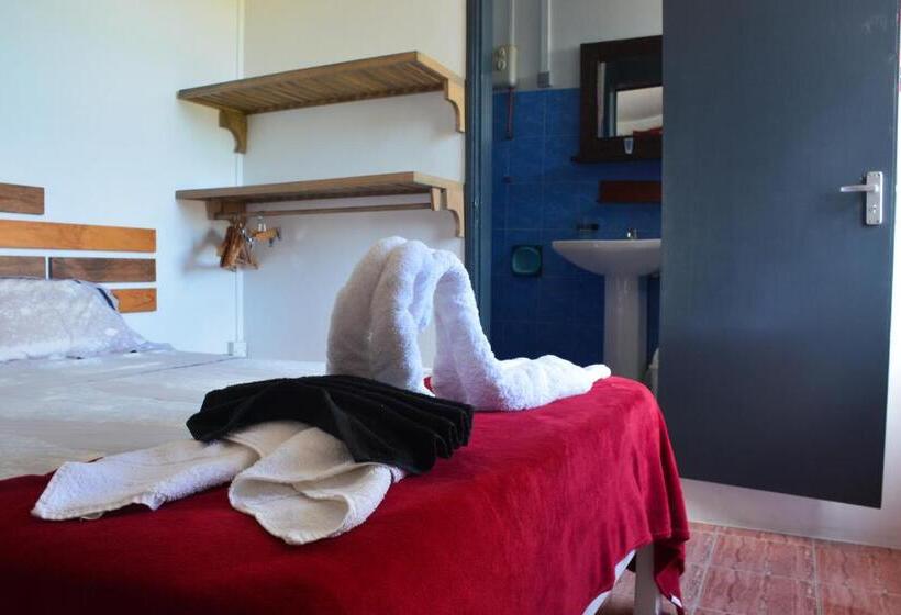 Economy Room, Le Pôle