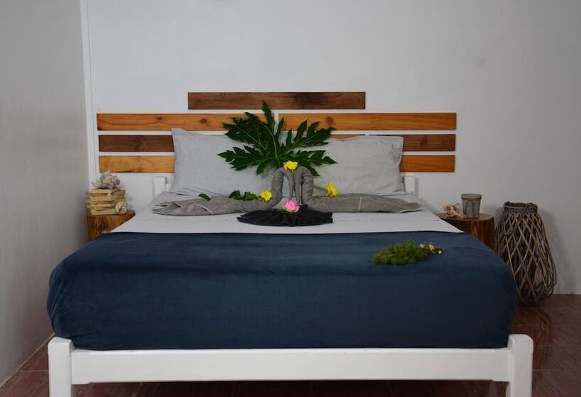 Standard Room, Le Pôle