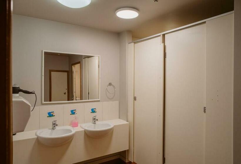 Säng i Delat Rum, Hippo Lodge Backpackers