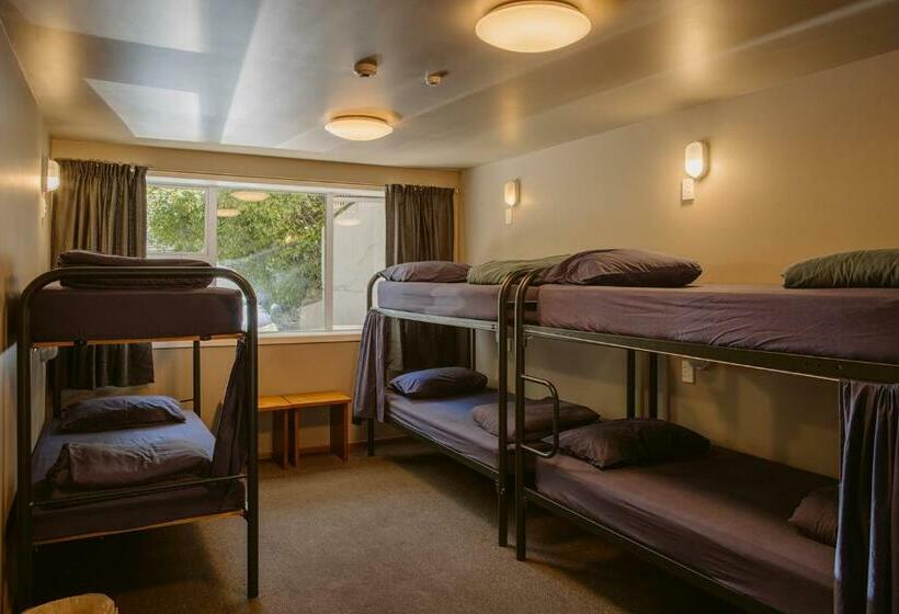 Säng i Delat Rum, Hippo Lodge Backpackers