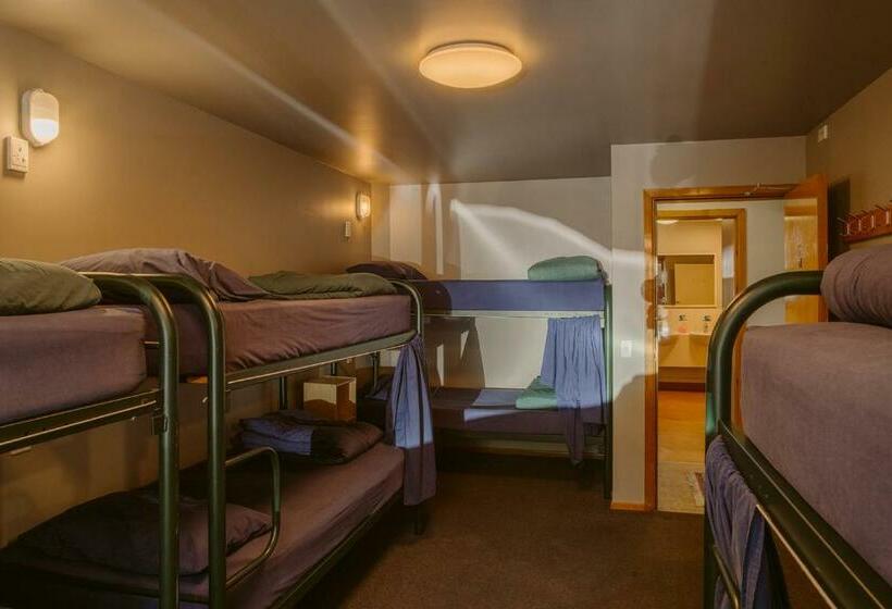 Säng i Delat Rum, Hippo Lodge Backpackers