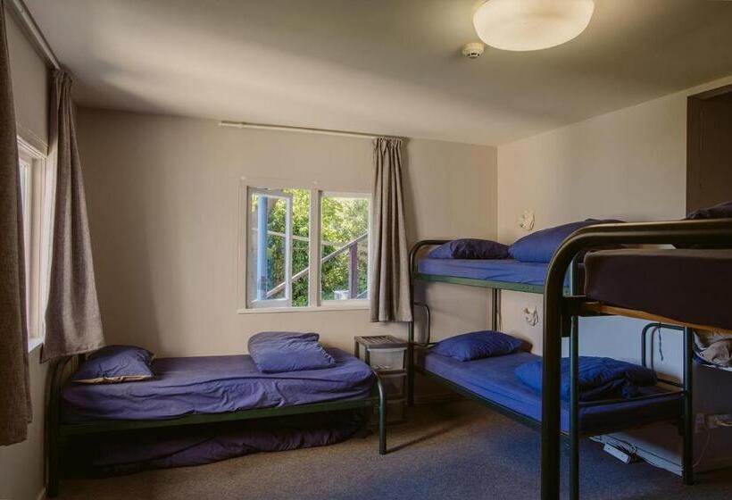 Säng i Delat Rum, Hippo Lodge Backpackers