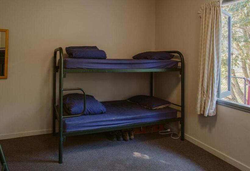 Säng i Delat Rum, Hippo Lodge Backpackers
