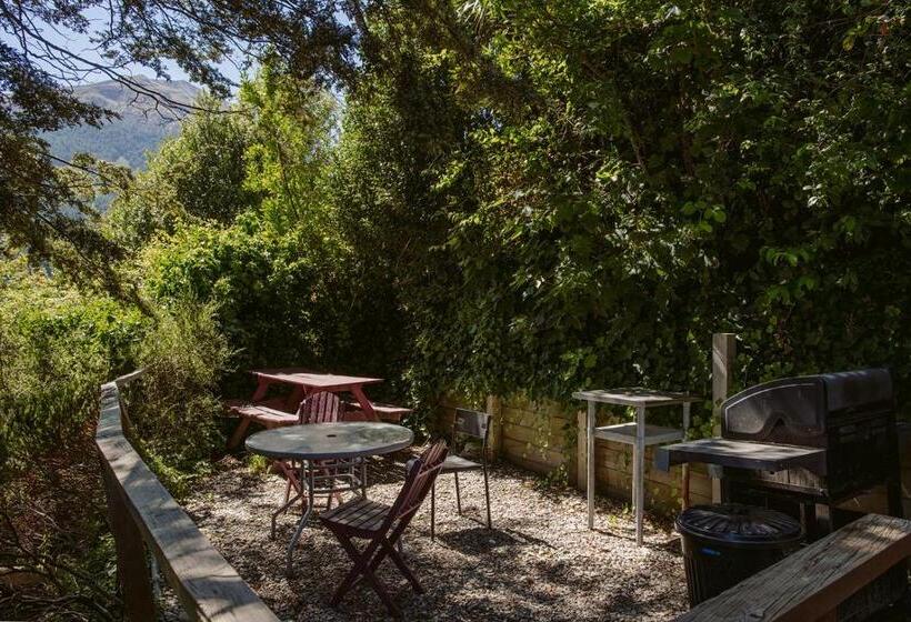 Säng i Delat Rum, Hippo Lodge Backpackers