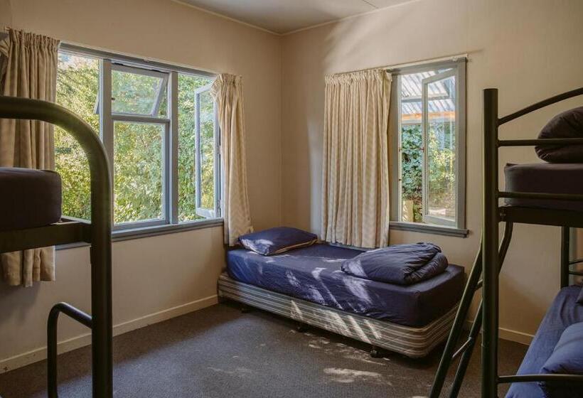 Säng i Delat Rum, Hippo Lodge Backpackers