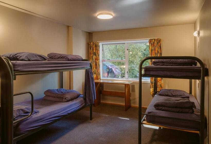 Säng i Delat Rum, Hippo Lodge Backpackers