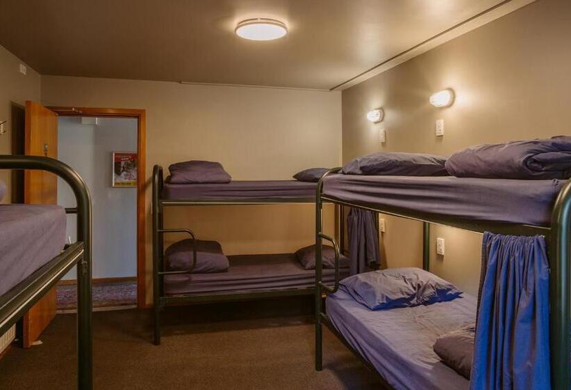 Säng i Delat Rum, Hippo Lodge Backpackers