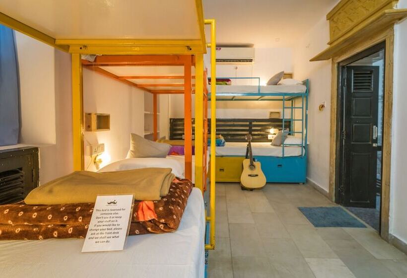 تختخواب در اتاق مشترک, Moustache Jaisalmer