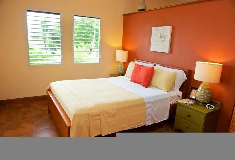 اتاق لوکس با چشم‌انداز دریا, Coral House