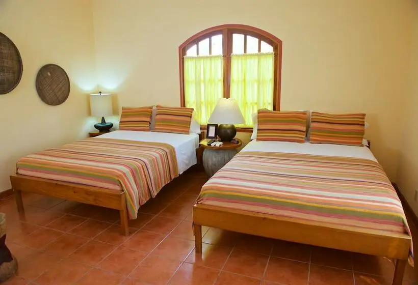 اتاق لوکس با چشم‌انداز دریا, Coral House
