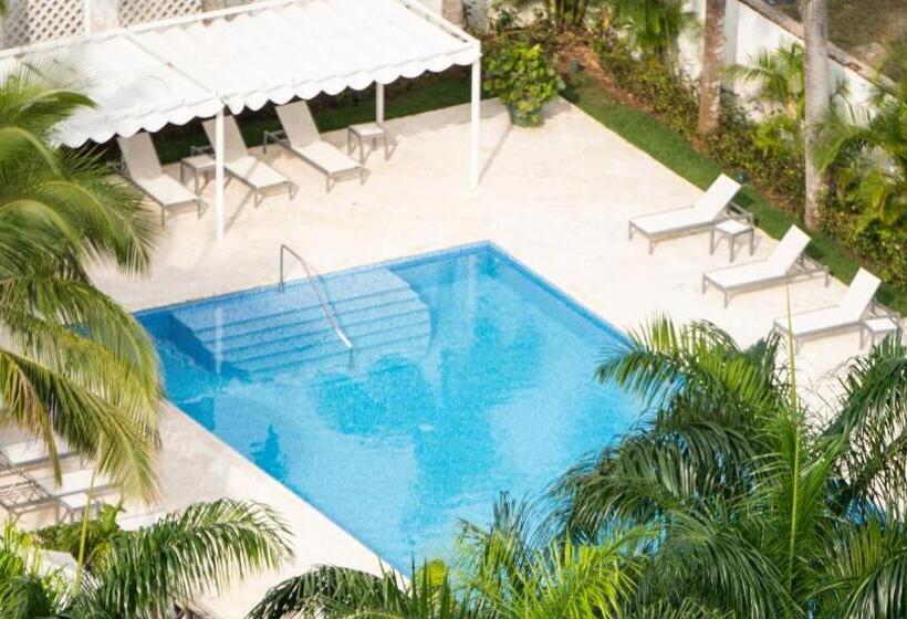 استودیوی لوکس, Casa Hemingway