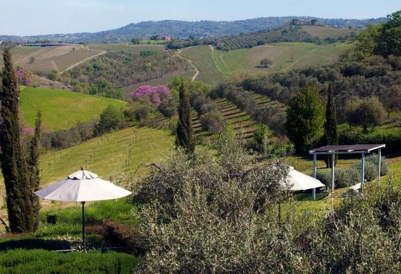 スイート, Casale Sterpeti