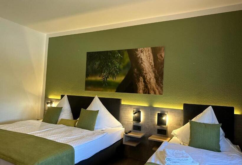 스탠다드 트리플 룸, An