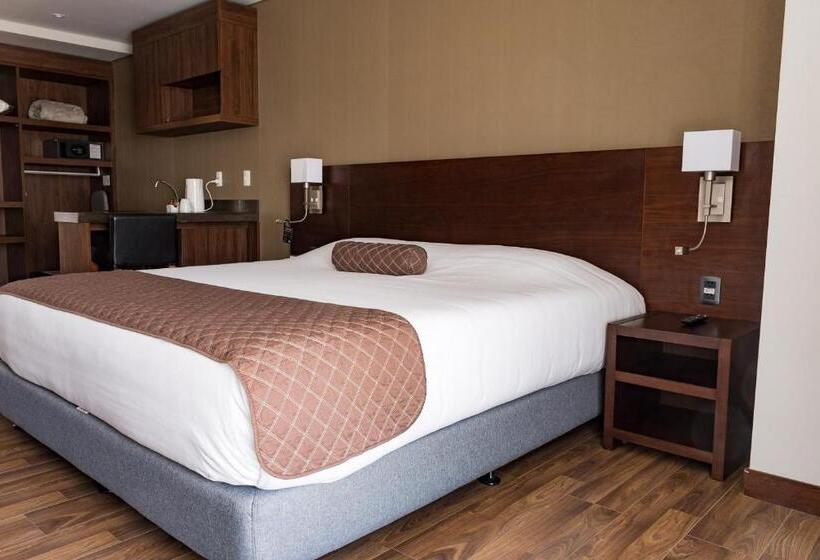 חדר סטנדרט, Rennova