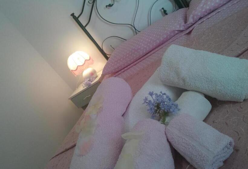 غرفة إقتصادية, Amoru Bed & Breakfast