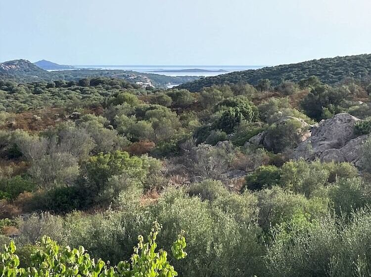 Номер Стандарт Вид на Сад, B&b Su Donnigheddu