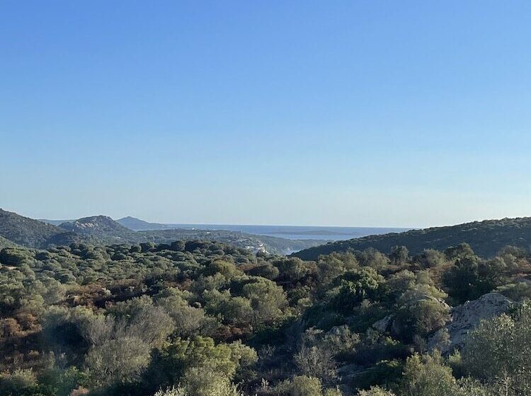 Трехместный Номер Стандарт Вид на Сад, B&b Su Donnigheddu