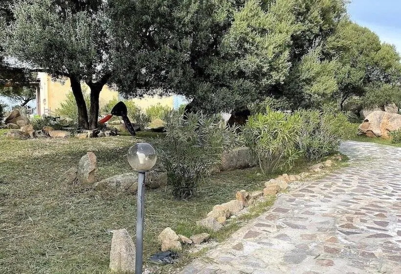 Standard-studio, B&b Su Donnigheddu