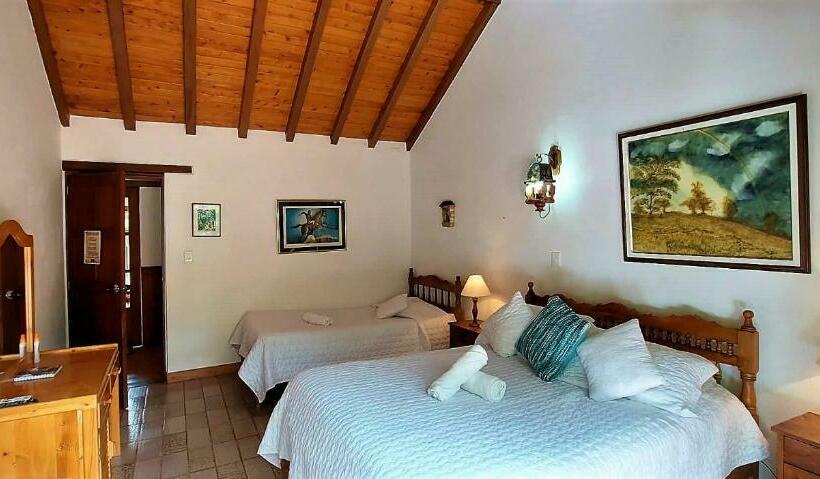 スタンダード4人部屋, Hacienda El Pinar Del Viento